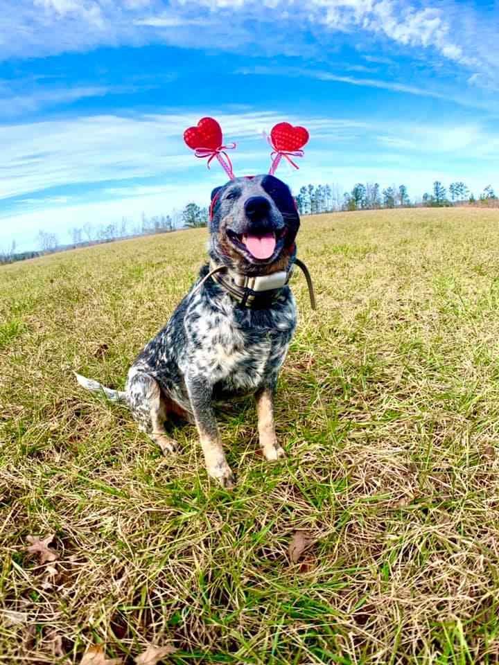 147079794_536462190627717_694097809631381874_n